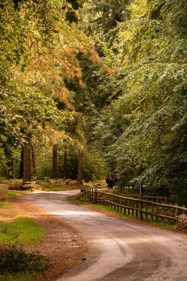 New Park Manor Hotel - A Luxury Family Hotel Brockenhurst Εξωτερικό φωτογραφία