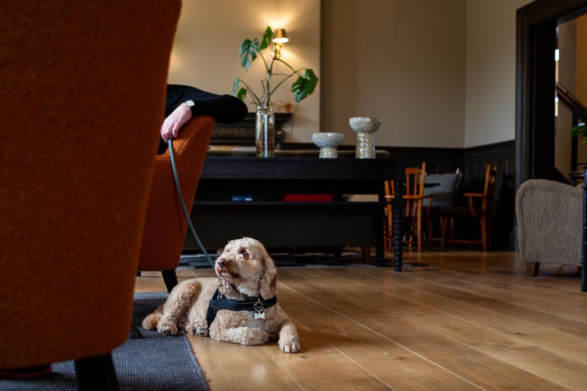 New Park Manor Hotel - A Luxury Family Hotel Brockenhurst Εξωτερικό φωτογραφία